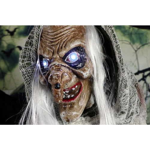 Haunted Hill Farm HHWITCH-7FLSA - 8